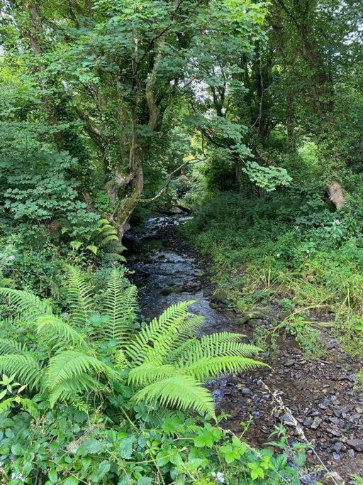 Banc Cottage Moylgrove Zewnętrze zdjęcie